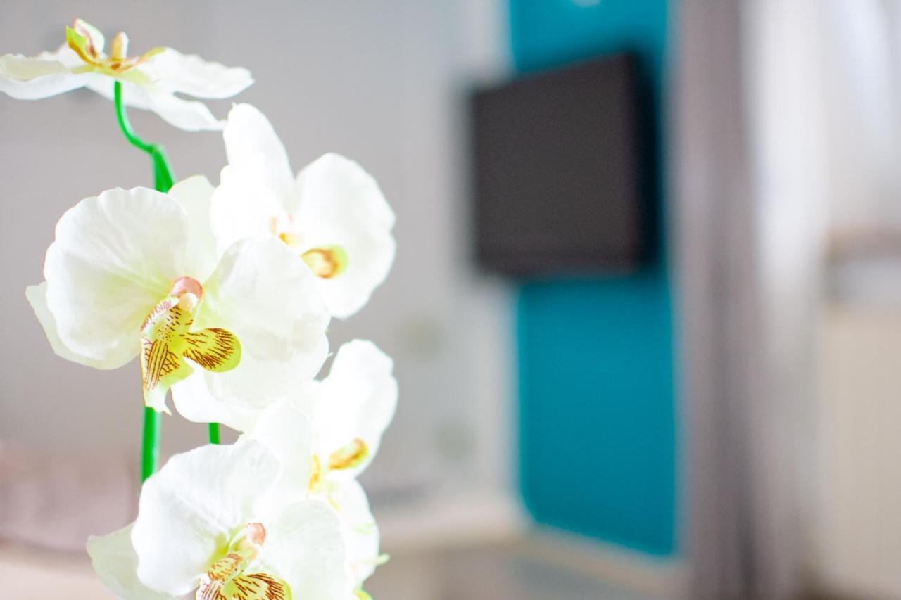 Apartamento App Roko 2 Poreč Exterior foto