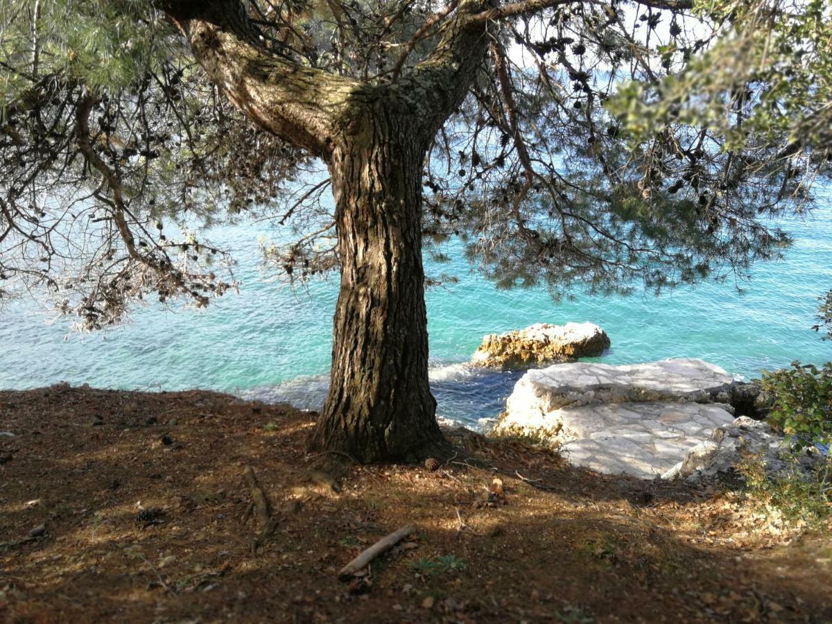 Apartamento App Roko 2 Poreč Exterior foto